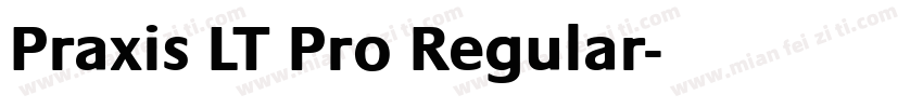 Praxis LT Pro Regular字体转换